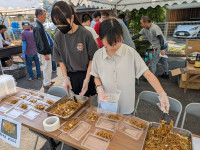 IMG_1929