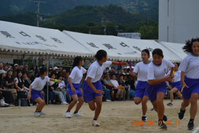 DSC_0390